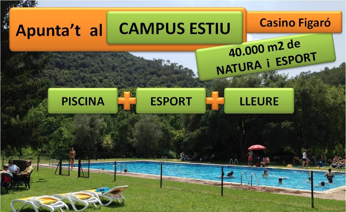 Gallicant, estiu 2016